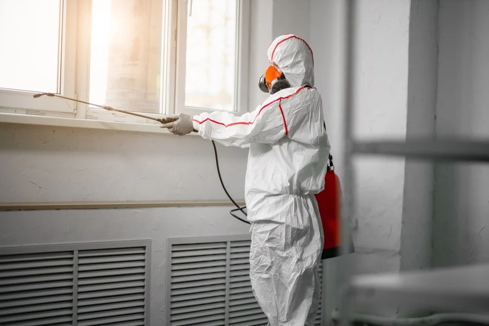 Professional mold remediation services in Beach Haven, NJ